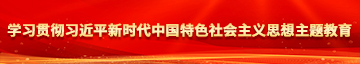 女人的逼让男人的小鸡差进去的视频.学习贯彻习近平新时代中国特色社会主义思想主题教育